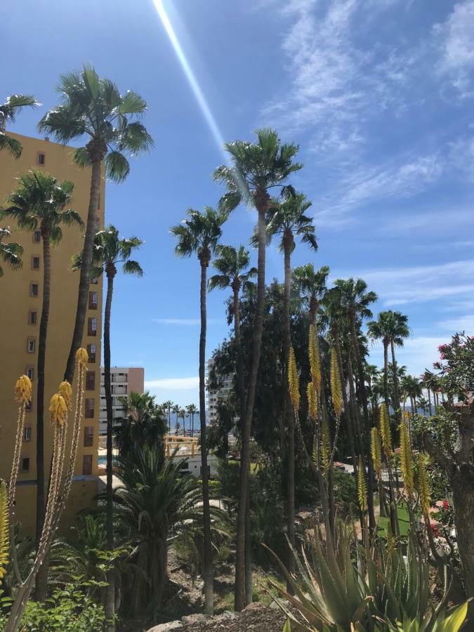 Apartment Residencial Las Flores